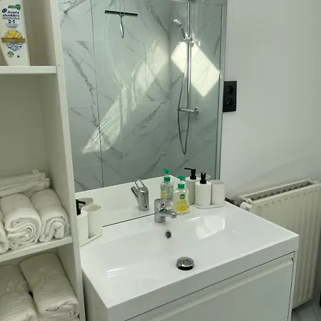 Apartment Grand Duplex Renove *