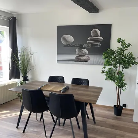 Apartment Grand Duplex Renove *